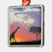 Giraffe, Silhouette bei Sonnenaufgang, Giraffa Silbernes Ornament (Links)