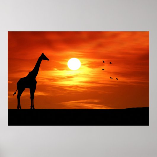 Giraffe Silhouette bei Sonnenuntergang Poster (Vorne)