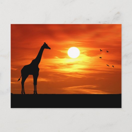 Giraffe Silhouette bei Sonnenuntergang Postkarte (Vorderseite)