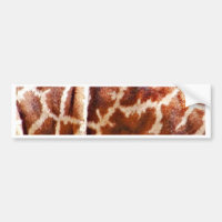 Giraffe Skin_