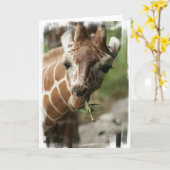Giraffe Snack Grußkarte Karte (Gelbe Blume)