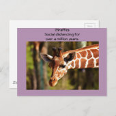 Giraffe Soziale Distanzierung sechs Meter von Funn Postkarte (Vorne/Hinten)