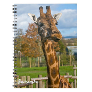 Giraffe Spiralnotizbuch Notizblock