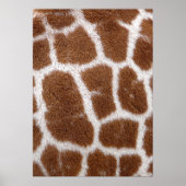 Giraffe Spots Poster (Vorne)