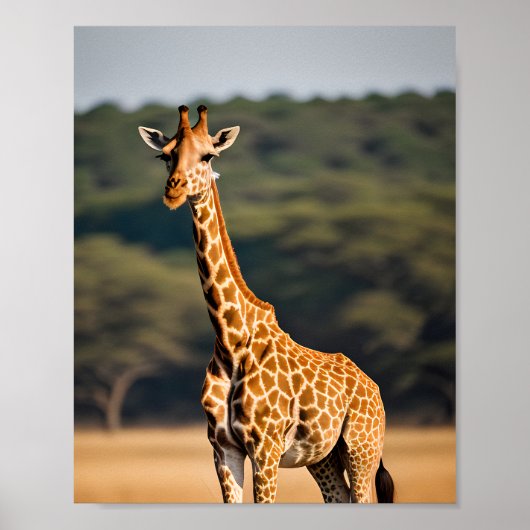 Giraffe Stehend Tall Poster (Vorne)