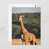Giraffe Stehend Tall Postkarte (Vorne/Hinten)