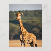 Giraffe Stehend Tall Postkarte (Vorderseite)