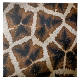 Giraffe Tierfell Haut Textur wild Leder patte Fliese