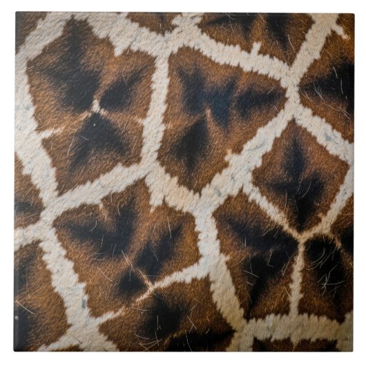 Giraffe Tierfell Haut Textur wild Leder patte Fliese (Vorderseite)