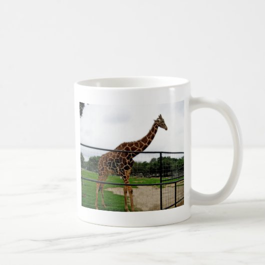 Giraffe Tierfotografie Kaffeetasse (Rechts)