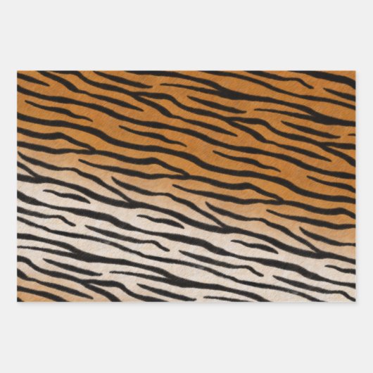 Giraffe Tiger & Zebra Fur Realistische Tierdrucke Geschenkpapier Set (Vorderseite 2)