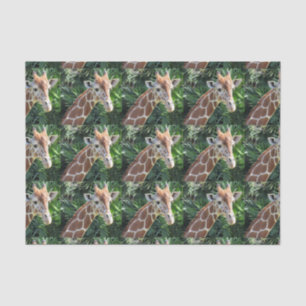 Giraffe Tissue Paper Seidenpapier