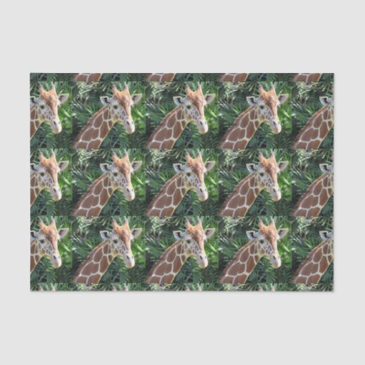 Giraffe Tissue Paper Seidenpapier (Vorderseite)