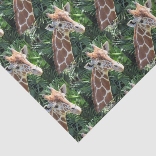 Giraffe Tissue Paper Seidenpapier (Ausschnitt)