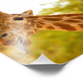 Giraffe Tongue Fotodruck (Ecke)