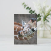 Giraffe Tongue Postcards Postkarte (Stehend Vorderseite)