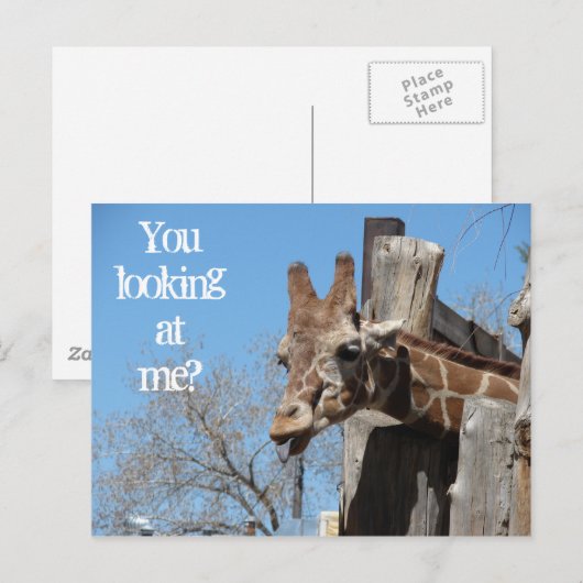 Giraffe Tongues Postkarte (Vorne/Hinten)