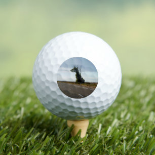 Giraffe Tree aus Südaustralien, Golfplätze Golfball