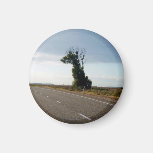 Giraffe Tree aus Südaustralien, Magnet (Vorne)