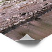 Giraffe - Trinken Poster (Ecke)