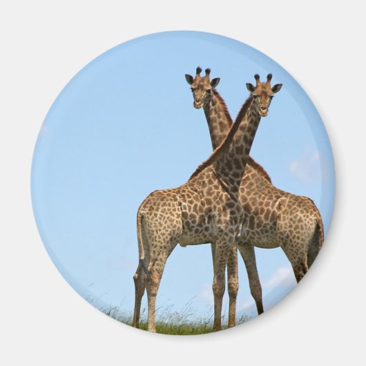 Giraffe Twins Magnet (Vorne)