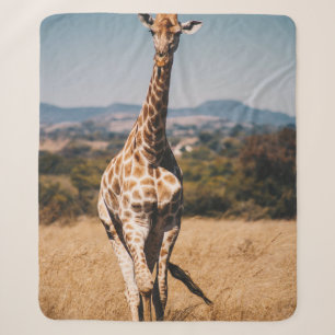 GIRAFFE UMGEBEN VON BRAUNEM GRAS SHERPADECKE