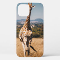 GIRAFFE UMGEBEN VON BROWN GRASS
