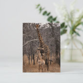 Giraffe und Baby Giraffe Postkarte (Stehend Vorderseite)