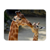 Giraffe und ihr Baby Magnet (Horizontal)