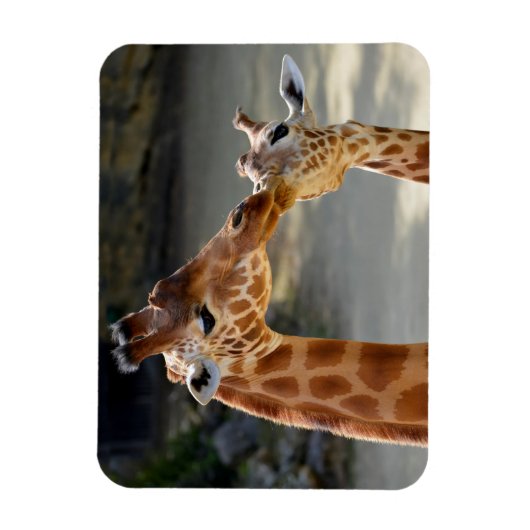 Giraffe und ihr Baby Magnet (Vertikal)