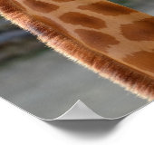 Giraffe und ihr Baby Poster (Ecke)