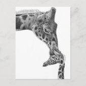 Giraffe und Kalb Postkarte (Vorderseite)
