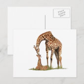 Giraffe und Küssen von Kleinkälbern Postkarte (Vorne/Hinten)