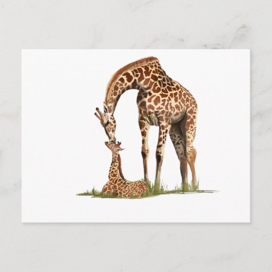 Giraffe und Küssen von Kleinkälbern Postkarte (Vorderseite)