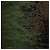 Giraffe und Mond | Baumwollgewebe nach Maß Stoff (Muster)