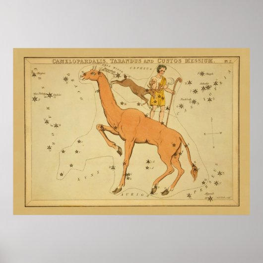 Giraffe - Vintages Sternenkartenbild Poster (Vorne)