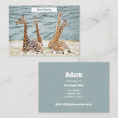 Giraffe Water Fun Foto - Vier-Giraffen-Party Mitteilungskarte (Vorne/Hinten)