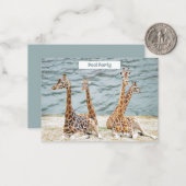 Giraffe Water Fun Foto - Vier-Giraffen-Party Mitteilungskarte (Vorderseite/Rückseite Beispiel)
