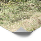 Giraffe wild poster (Ecke)