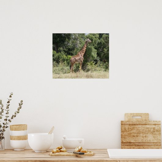 Giraffe wild poster (Küche)