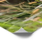 Giraffe Wildlife Animal Foto Poster (Ecke)