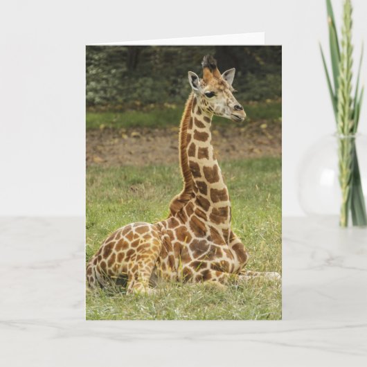Giraffe Wildlife Karte (Vorderseite)