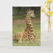 Giraffe Wildlife Karte (Gelbe Blume)