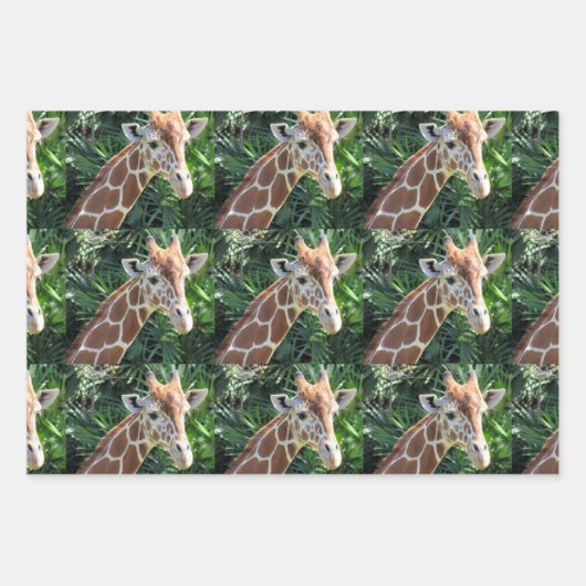 Giraffe Wrapping Paper Sheets Geschenkpapier Set (Vorderseite 2)