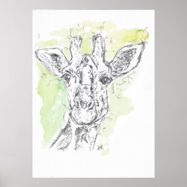 Giraffe zeichne. poster