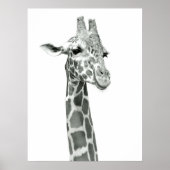 Giraffe Zeichnend Poster (Vorne)