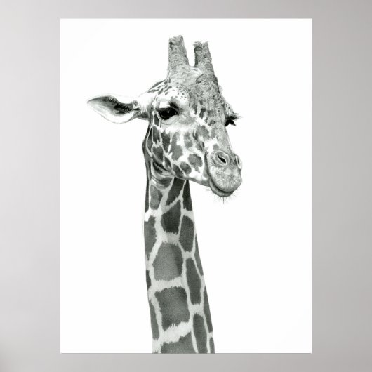 Giraffe Zeichnend Poster (Vorne)