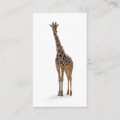 Giraffe Zoologin Business Card Visitenkarte (Vorderseite)