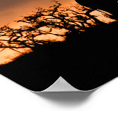 Giraffe Zulu Nyala Game Reserve Südafrika Poster (Ecke)