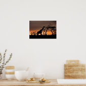 Giraffe Zulu Nyala Game Reserve Südafrika Poster (Küche)